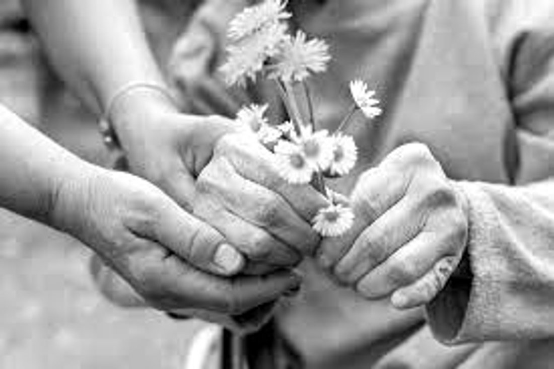 A caregiver gently holding an elderly patient's hands, which are holding daisies