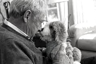 A robotic companion pet dog, an example of a comfort item provided to patients